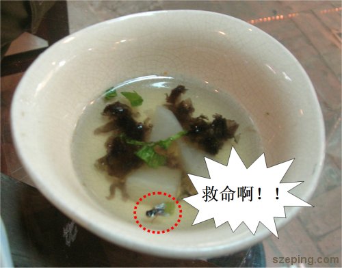 2-fly.jpg