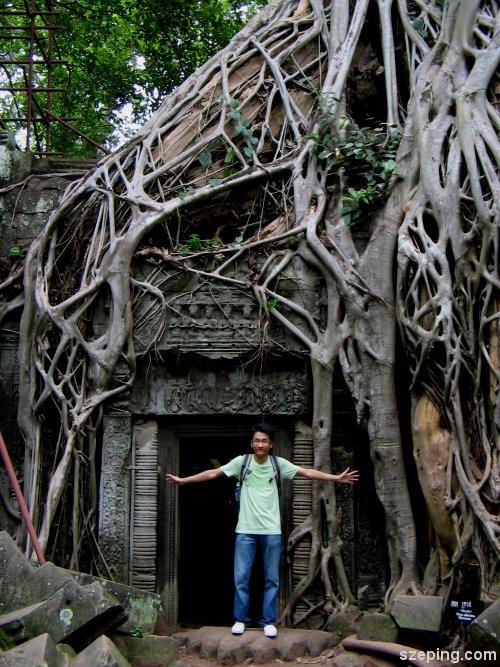 2-tree-1.jpg
