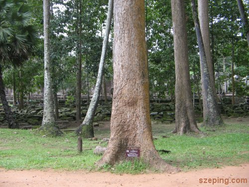 2-weird-2.jpg