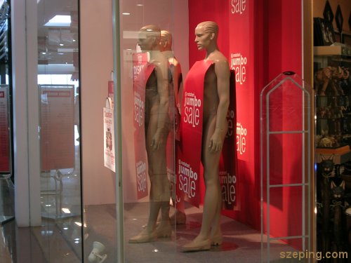 model.jpg