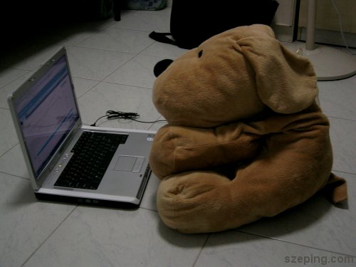 dog5.jpg