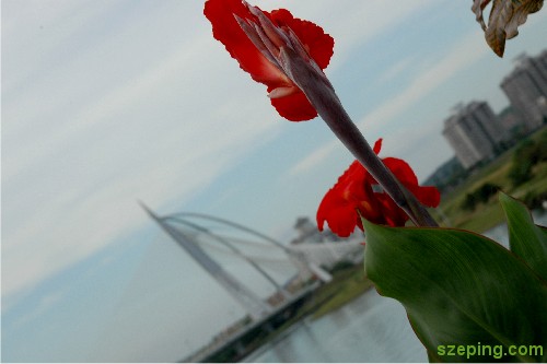 putrajaya-3.jpg