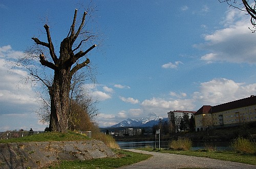 austria-6.jpg