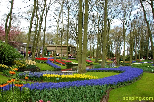 keukenhof_flowers4.jpg