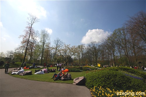 keukenhof_relax.jpg