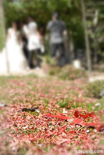 foowed_08.jpg