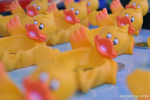 duck.jpg