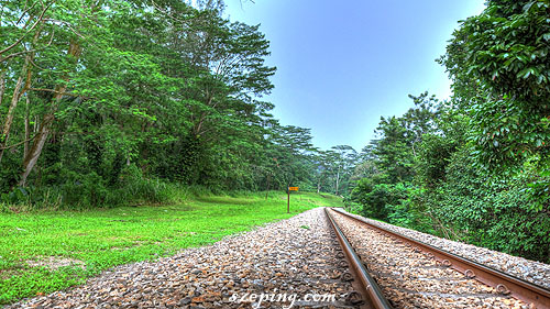 railway_back.jpg