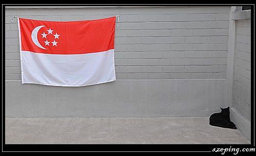 singapore-national-day_01.jpg