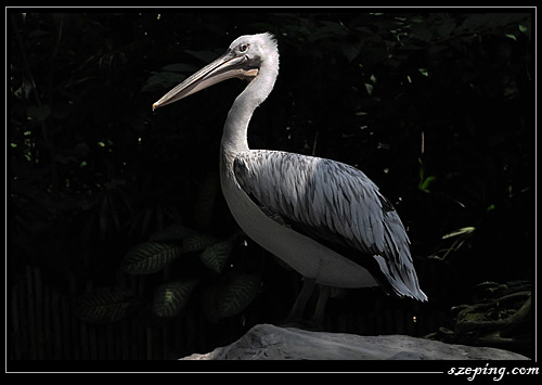 zoo_02.jpg