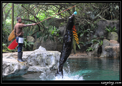 zoo_03.jpg