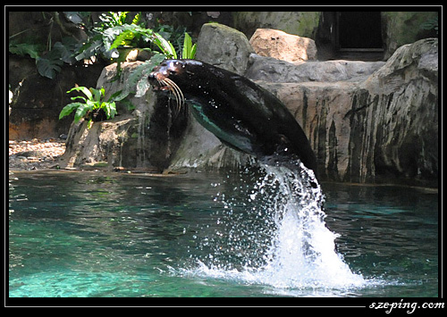 zoo_04.jpg