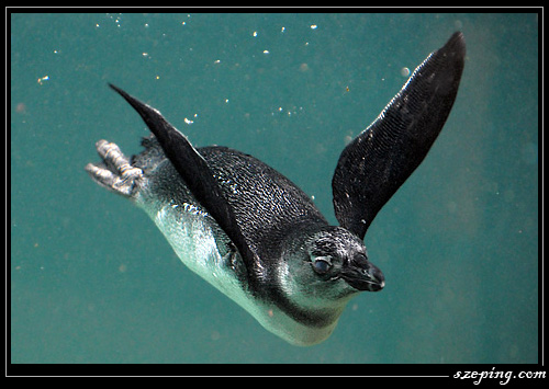 zoo_05.jpg