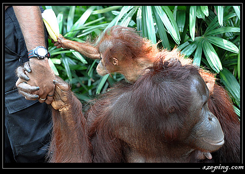 zoo_09.jpg