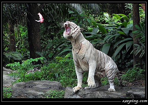 zoo_14.jpg