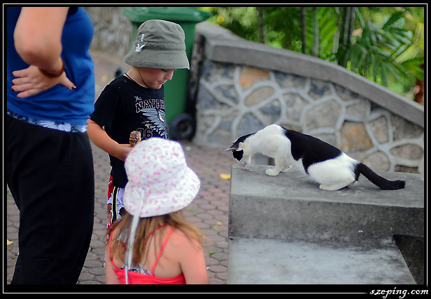 phuket-044-karonviewpoint_cat1.jpg