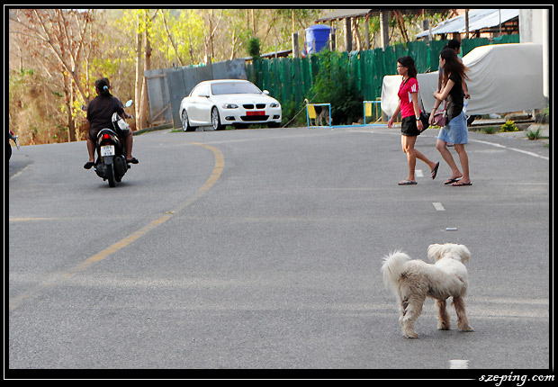 phuket-061-promthepcape01.jpg