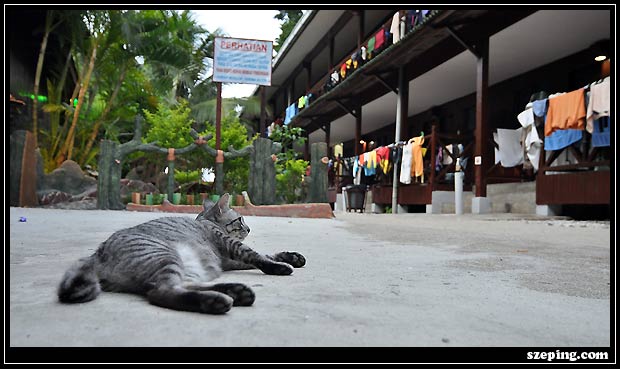 dsc_7163.jpg