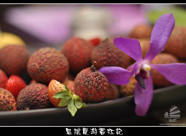 omy-hk_015.jpg