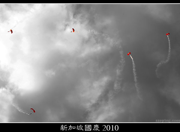 ndp2010_01.jpg