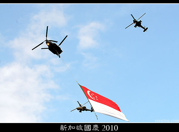 ndp2010_02.jpg