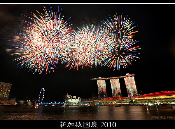 ndp2010_05.jpg