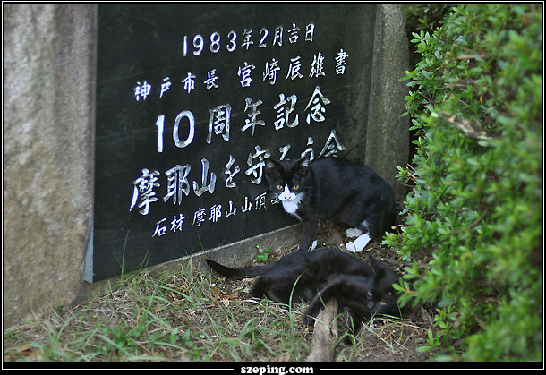 kobe_017.jpg