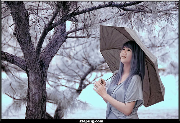 dsc_ir-snow.jpg