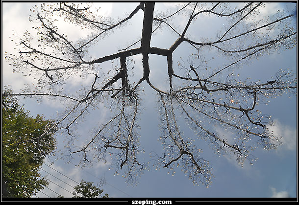 hakone_day1_42.jpg